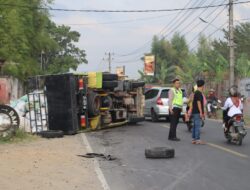 Pecah Ban, Truk Pengangkut Gabah Terguling di Jalinbar Pringsewu
