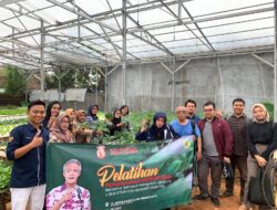 Ganjar Milenial Center Adakan Pelatihan Menanam Hidroponik Bareng Pemuda di Bandar Lampung
