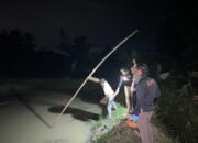 Geger, Seorang petani di Pringsewu Ditemukan Tewas Tenggelam di Kolam Ikan