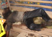 Buruh Tani Ditemukan Tewas Membusuk di Gubuk Perkebunan Pekon Banjarejo Pringsewu