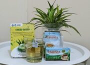 Dosen Farmasi Unila Kembangkan Teh Herbal Parovia untuk Diabetes