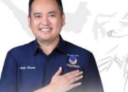 Gantikan Fauzan, Naldi Rinara Jadi Wakil Ketua DPRD Provinsi