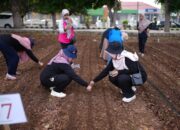 DWP Gelar Lomba Menanam Sayuran, Wujudkan Ketahanan Pangan Berkelanjutan