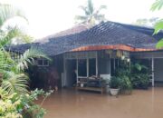 Hujan Deras Guyur Pringsewu, Ratusan Rumah dan Sawah Terendam Banjir