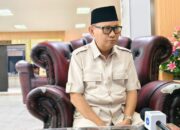 Pergub Larangan Ekspor Ayam Hidup, Ini Kata DPRD Lampung