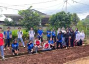 Mahasiswa KKN-PLP Rehabilitasi Lahan Jadi Kebun Sayur