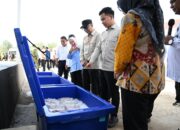 Pastikan Fasilitas Kawasan Nelayan Terintregasi, Wapres Tinjau KNMP Desa Margasari