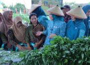 TP. PKK Provinsi Lampung Dorong Desa TAPIS Jadi Penggerak Ekonomi dan Ketahanan Keluarga